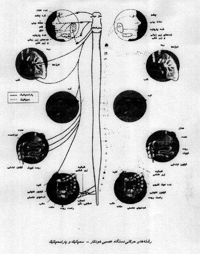 دانلود کتاب اسرار و رموز انرژی اذکار یا اسماء الهی